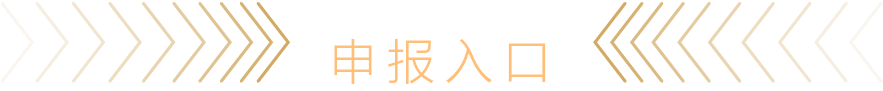 申报入口